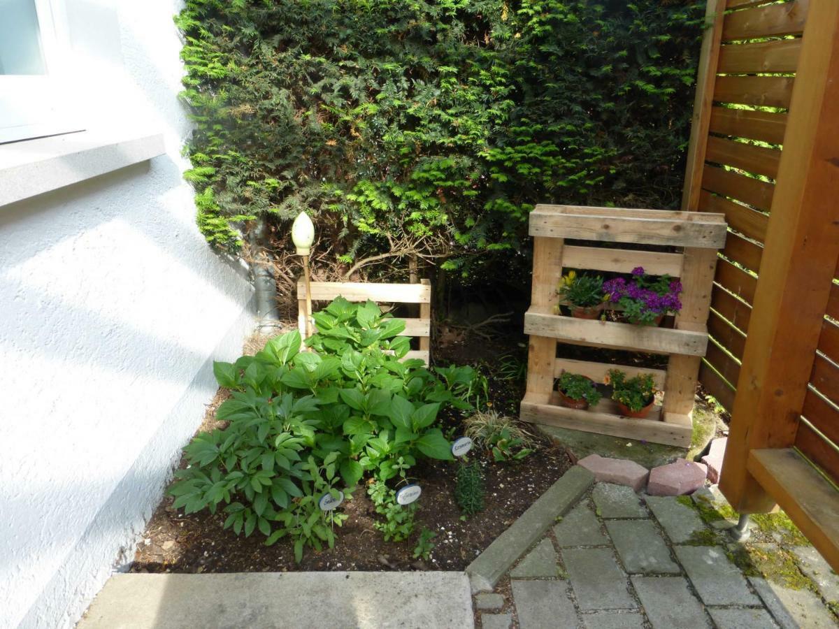 Ferienwohnung An Der Kimbach 1 Bad König Zewnętrze zdjęcie